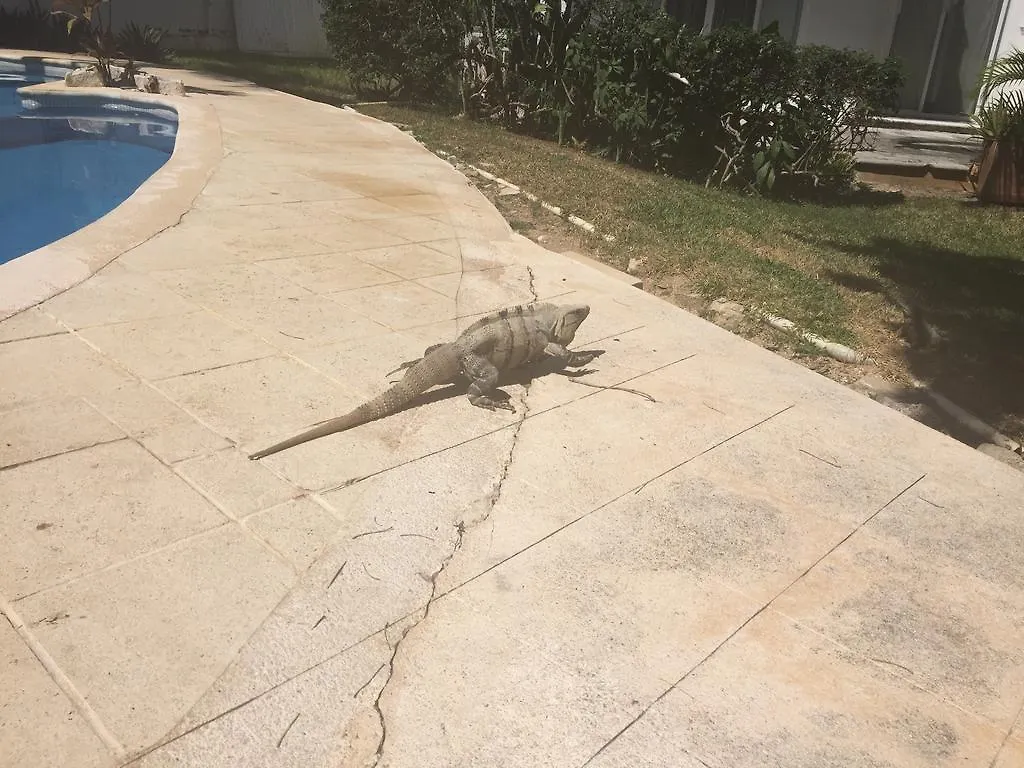 Casa Mi Tesoro Hotel Playa del Carmen Vendégház
